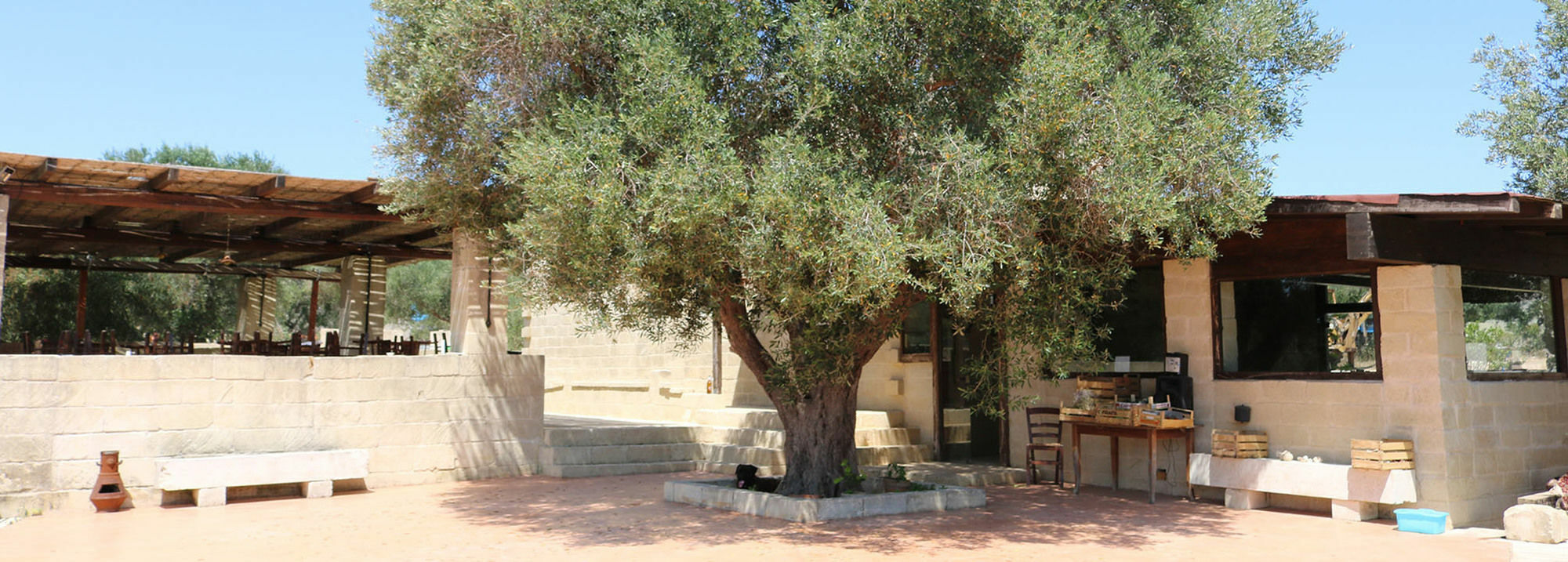 La Trottoria Agriturismo Отранто Экстерьер фото